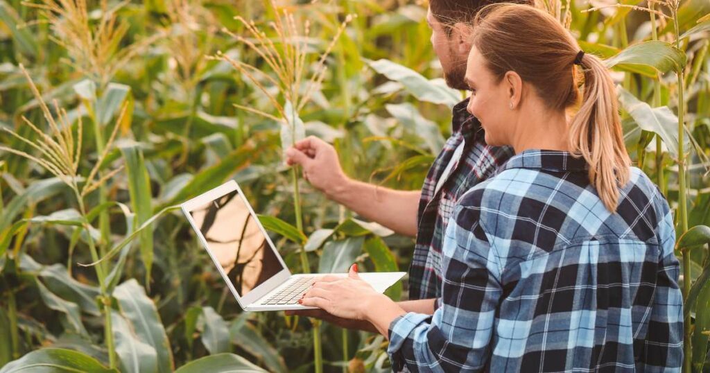 A tecnologia na agricultura também beneficia a agricultura familiar