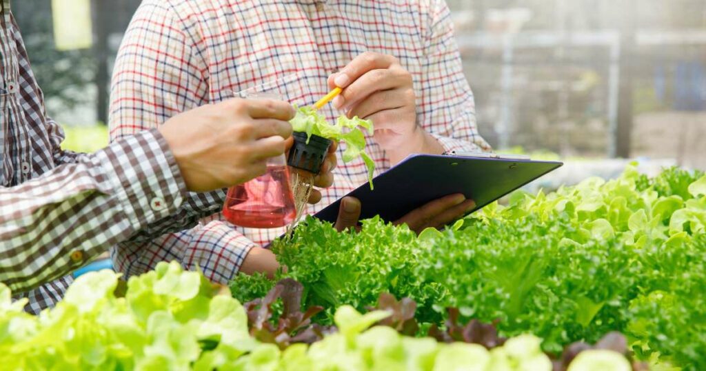 Benefícios do uso da tecnologia na agricultura